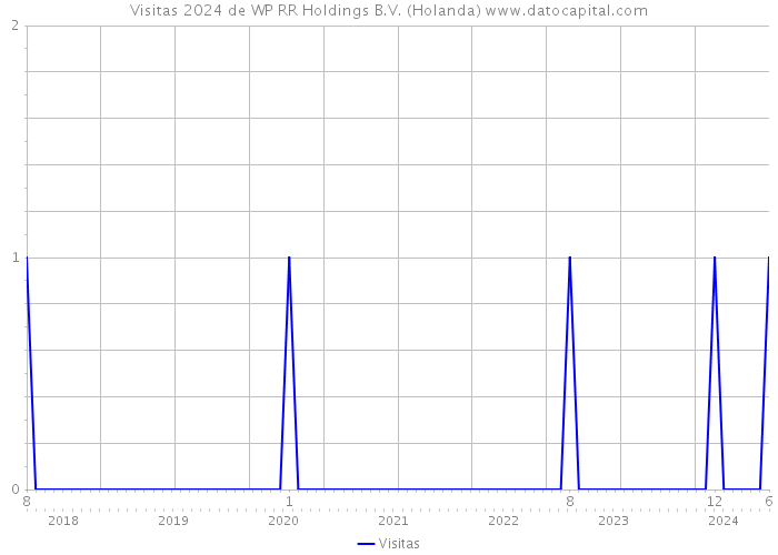 Visitas 2024 de WP RR Holdings B.V. (Holanda) 