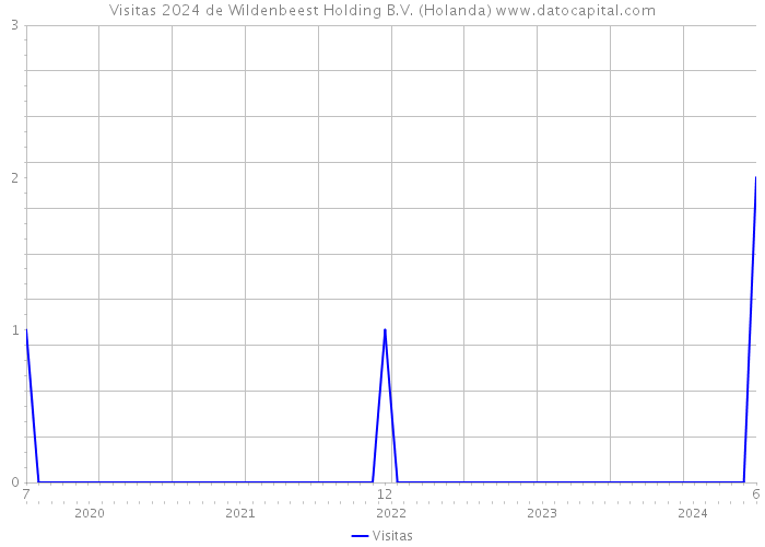 Visitas 2024 de Wildenbeest Holding B.V. (Holanda) 