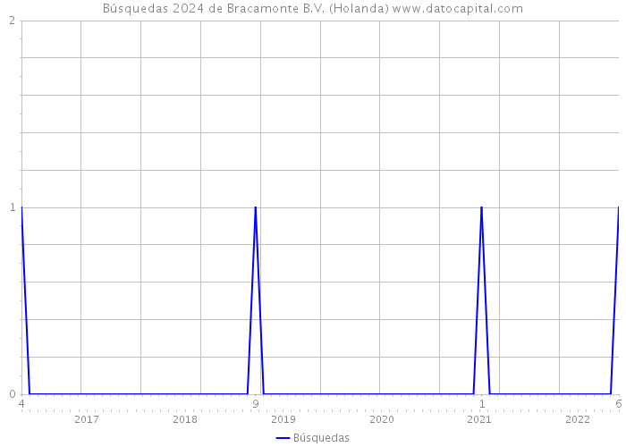 Búsquedas 2024 de Bracamonte B.V. (Holanda) 