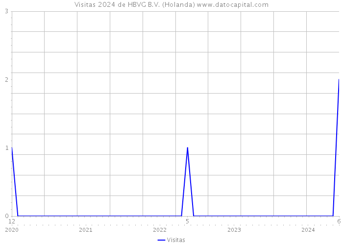 Visitas 2024 de HBVG B.V. (Holanda) 