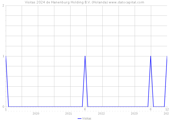 Visitas 2024 de Hanenburg Holding B.V. (Holanda) 