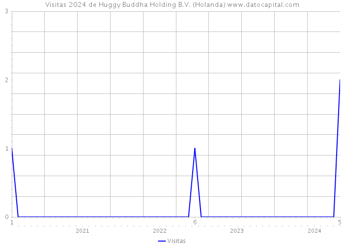 Visitas 2024 de Huggy Buddha Holding B.V. (Holanda) 