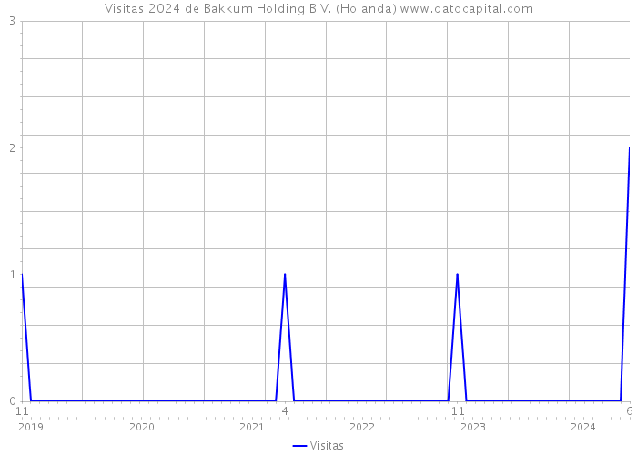 Visitas 2024 de Bakkum Holding B.V. (Holanda) 