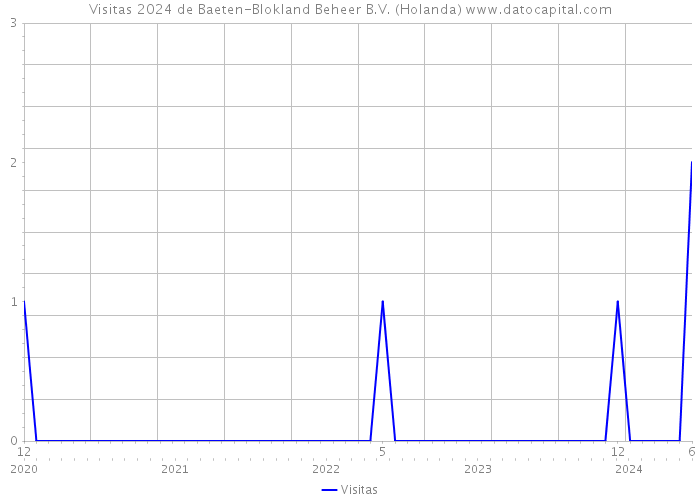 Visitas 2024 de Baeten-Blokland Beheer B.V. (Holanda) 