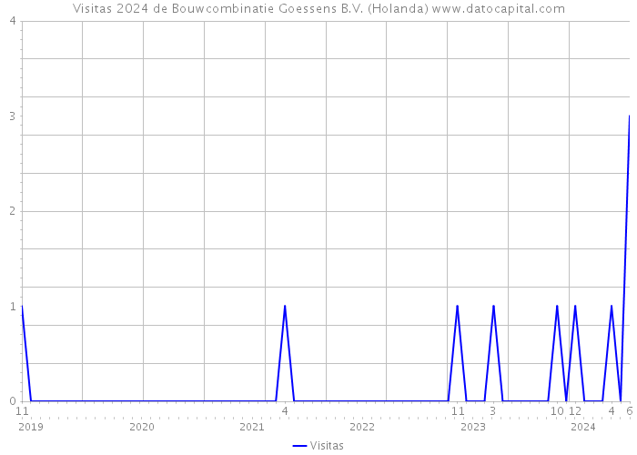 Visitas 2024 de Bouwcombinatie Goessens B.V. (Holanda) 