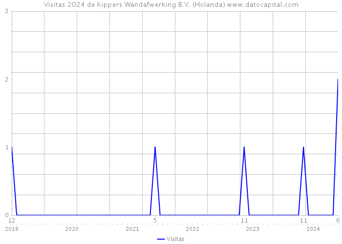 Visitas 2024 de Kippers Wandafwerking B.V. (Holanda) 