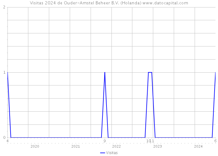 Visitas 2024 de Ouder-Amstel Beheer B.V. (Holanda) 