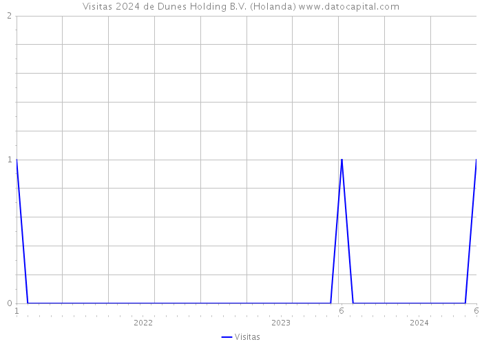 Visitas 2024 de Dunes Holding B.V. (Holanda) 