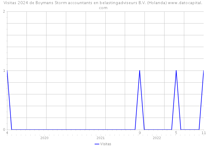 Visitas 2024 de Boymans Storm accountants en belastingadviseurs B.V. (Holanda) 