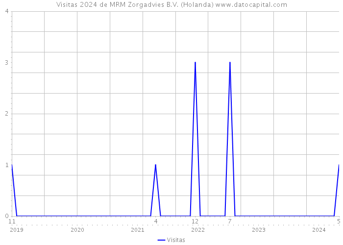 Visitas 2024 de MRM Zorgadvies B.V. (Holanda) 