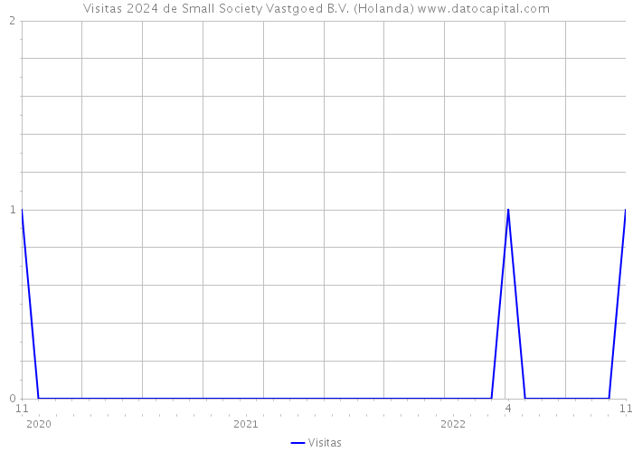 Visitas 2024 de Small Society Vastgoed B.V. (Holanda) 