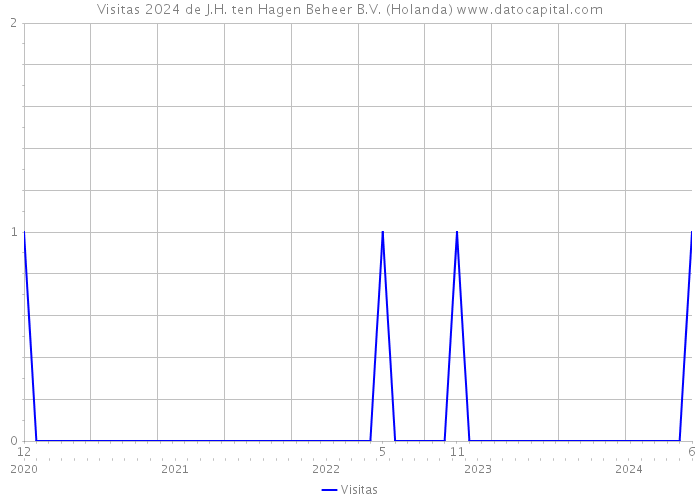 Visitas 2024 de J.H. ten Hagen Beheer B.V. (Holanda) 