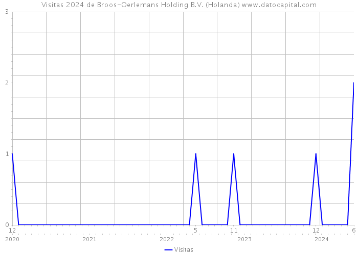 Visitas 2024 de Broos-Oerlemans Holding B.V. (Holanda) 