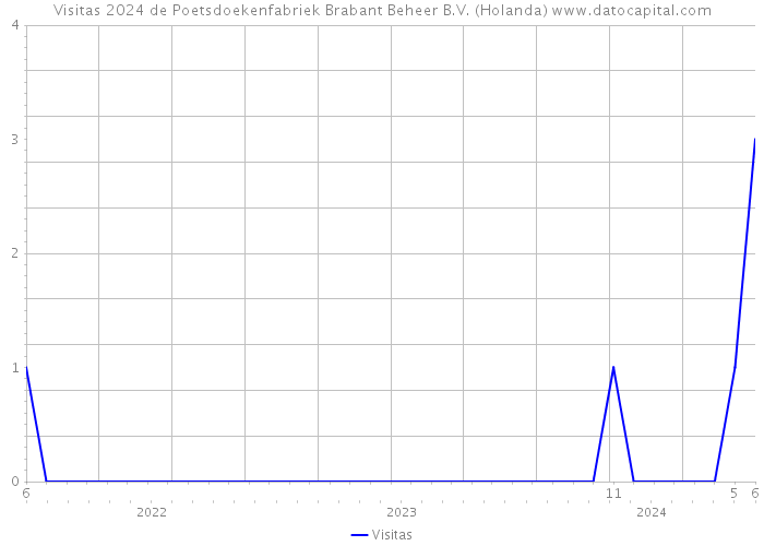 Visitas 2024 de Poetsdoekenfabriek Brabant Beheer B.V. (Holanda) 