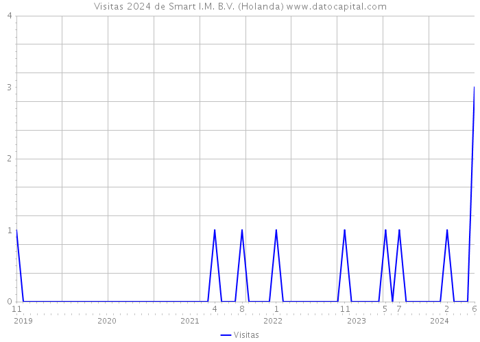 Visitas 2024 de Smart I.M. B.V. (Holanda) 