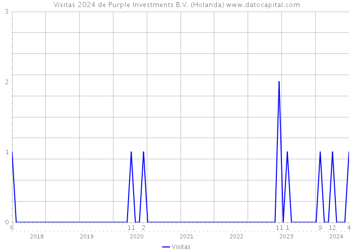Visitas 2024 de Purple Investments B.V. (Holanda) 