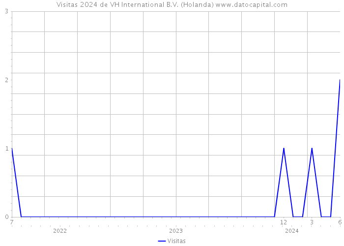 Visitas 2024 de VH International B.V. (Holanda) 