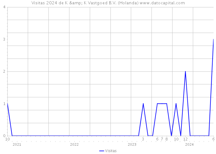 Visitas 2024 de K & K Vastgoed B.V. (Holanda) 