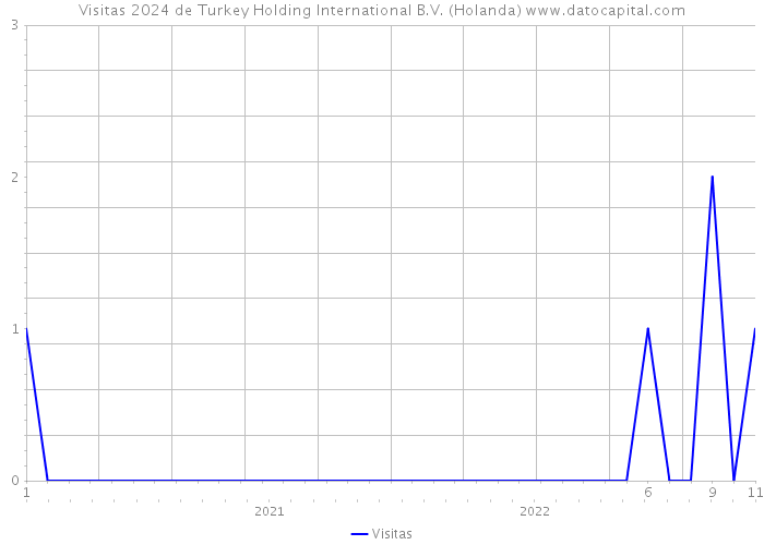 Visitas 2024 de Turkey Holding International B.V. (Holanda) 