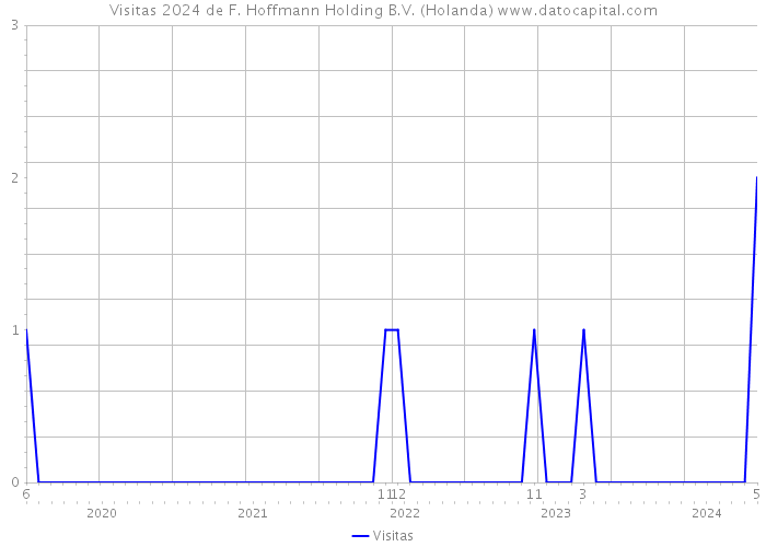 Visitas 2024 de F. Hoffmann Holding B.V. (Holanda) 