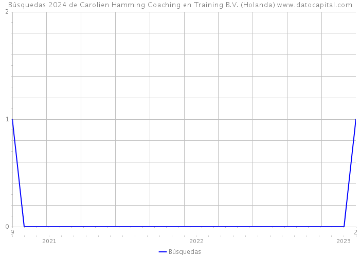 Búsquedas 2024 de Carolien Hamming Coaching en Training B.V. (Holanda) 