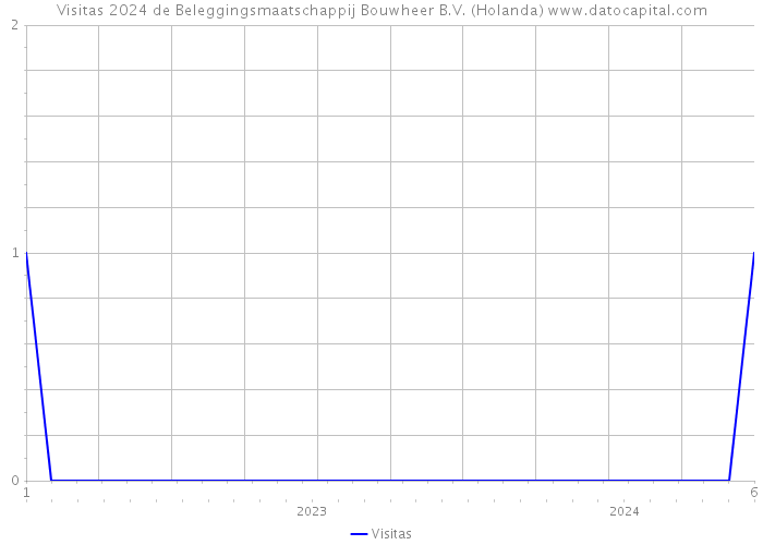 Visitas 2024 de Beleggingsmaatschappij Bouwheer B.V. (Holanda) 