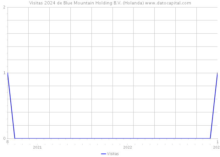 Visitas 2024 de Blue Mountain Holding B.V. (Holanda) 