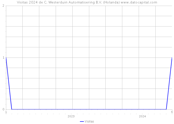 Visitas 2024 de C. Westerduin Automatisering B.V. (Holanda) 