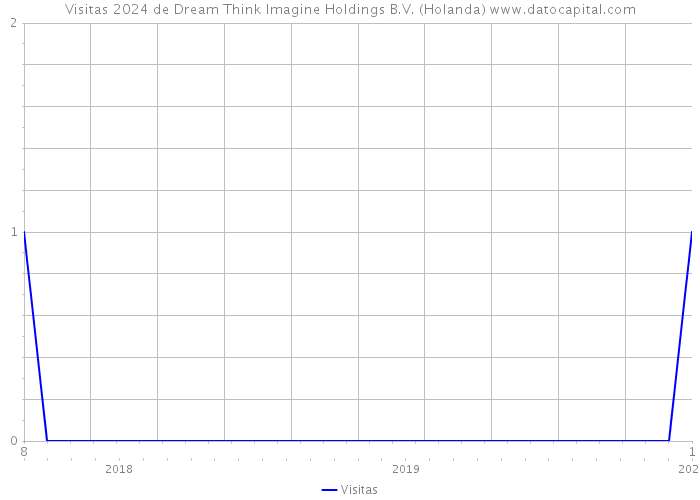 Visitas 2024 de Dream Think Imagine Holdings B.V. (Holanda) 