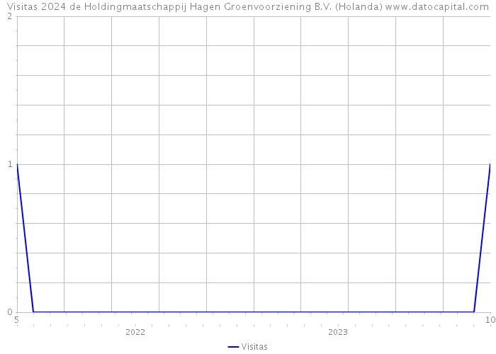 Visitas 2024 de Holdingmaatschappij Hagen Groenvoorziening B.V. (Holanda) 