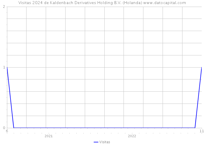 Visitas 2024 de Kaldenbach Derivatives Holding B.V. (Holanda) 