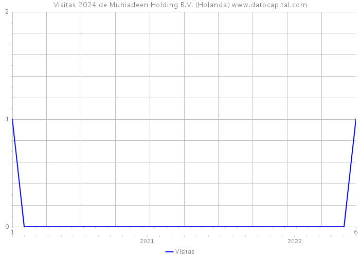 Visitas 2024 de Muhiadeen Holding B.V. (Holanda) 