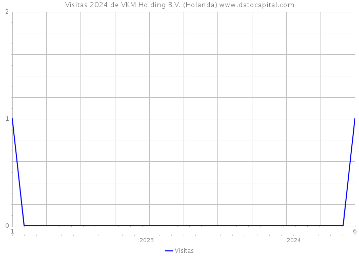 Visitas 2024 de VKM Holding B.V. (Holanda) 