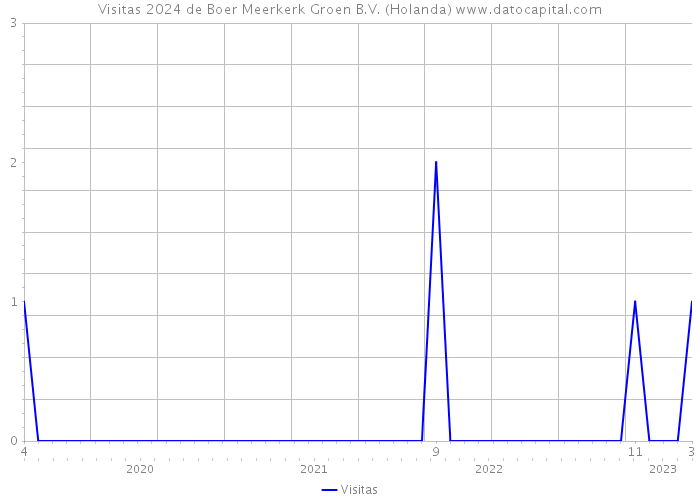 Visitas 2024 de Boer Meerkerk Groen B.V. (Holanda) 