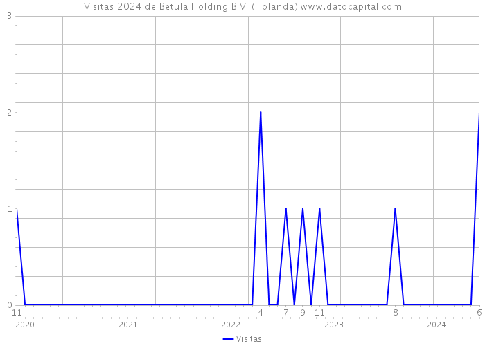 Visitas 2024 de Betula Holding B.V. (Holanda) 