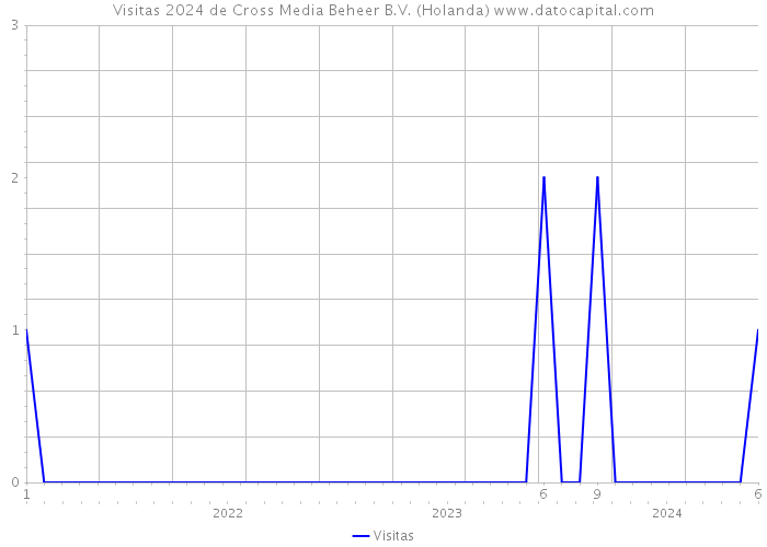 Visitas 2024 de Cross Media Beheer B.V. (Holanda) 