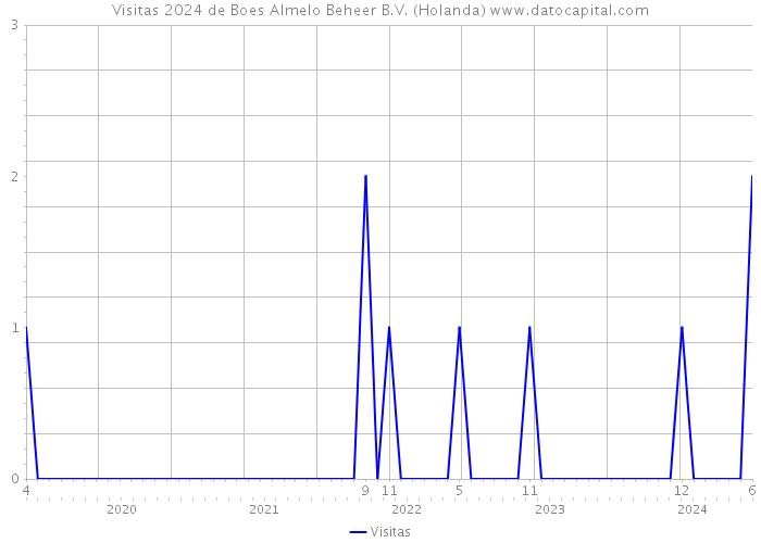 Visitas 2024 de Boes Almelo Beheer B.V. (Holanda) 