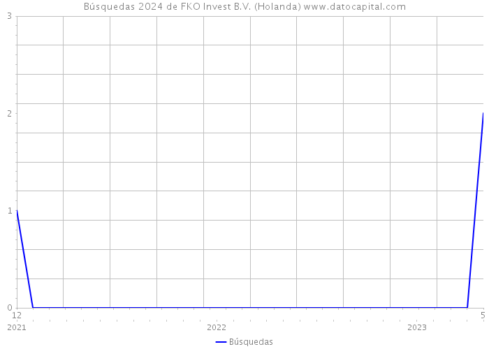 Búsquedas 2024 de FKO Invest B.V. (Holanda) 