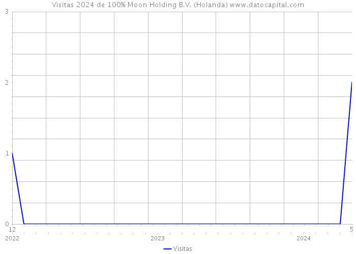 Visitas 2024 de 100% Moon Holding B.V. (Holanda) 