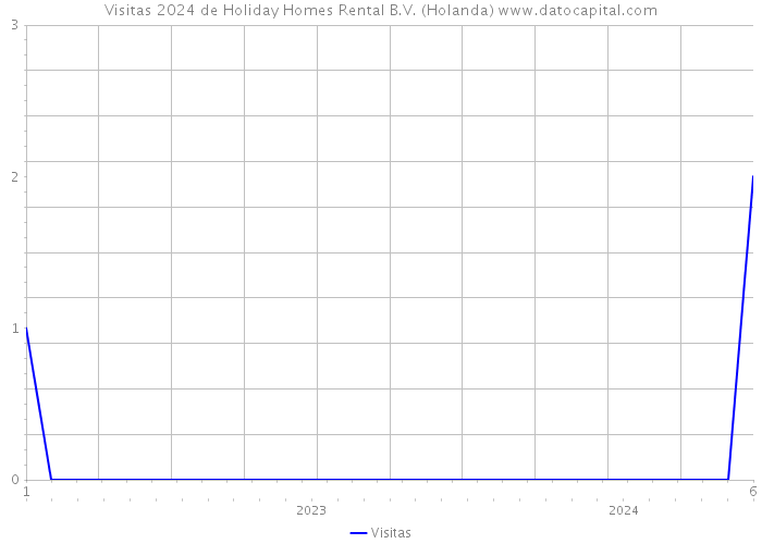 Visitas 2024 de Holiday Homes Rental B.V. (Holanda) 
