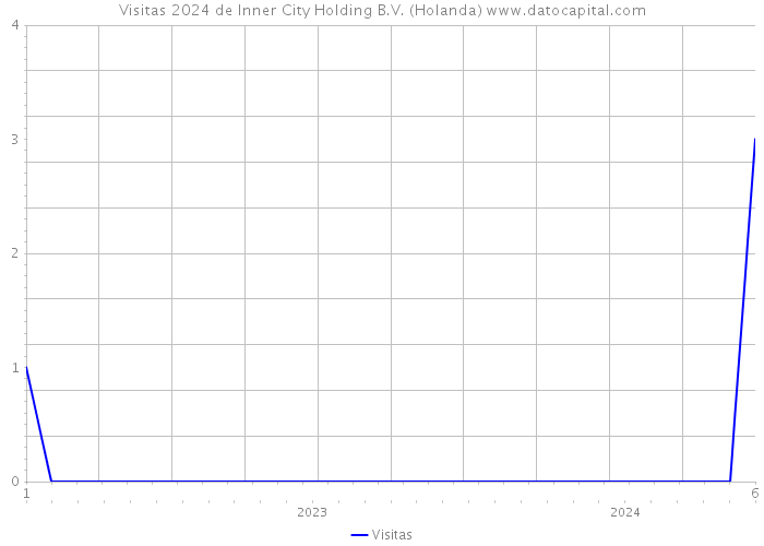 Visitas 2024 de Inner City Holding B.V. (Holanda) 