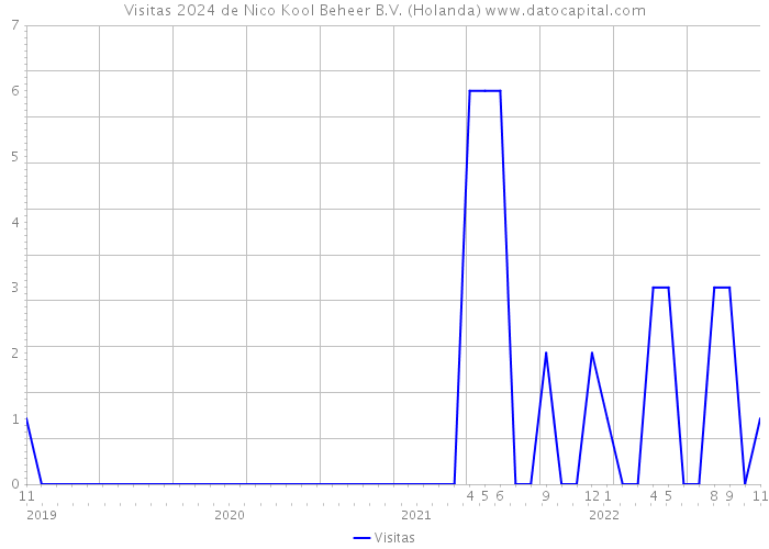 Visitas 2024 de Nico Kool Beheer B.V. (Holanda) 