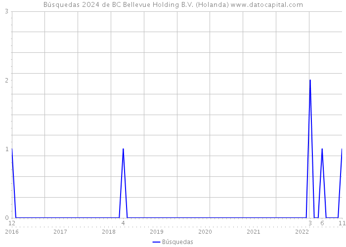 Búsquedas 2024 de BC Bellevue Holding B.V. (Holanda) 