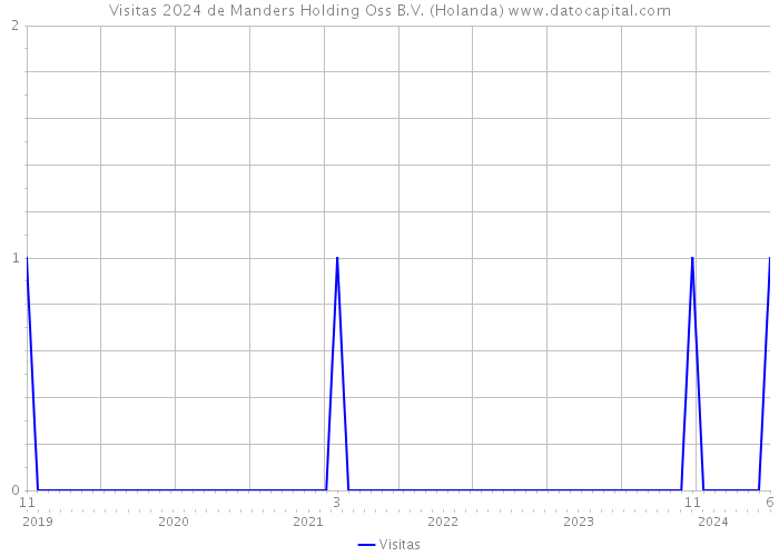 Visitas 2024 de Manders Holding Oss B.V. (Holanda) 