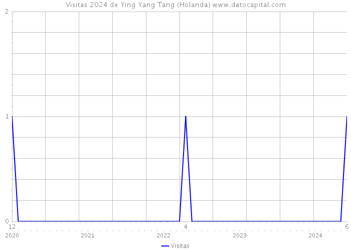 Visitas 2024 de Ying Yang Tang (Holanda) 