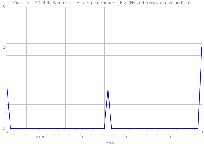 Búsquedas 2024 de Sommerset Holding International B.V. (Holanda) 