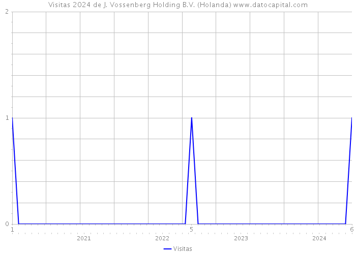 Visitas 2024 de J. Vossenberg Holding B.V. (Holanda) 