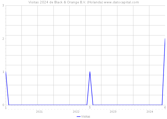 Visitas 2024 de Black & Orange B.V. (Holanda) 