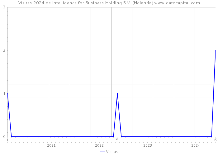 Visitas 2024 de Intelligence for Business Holding B.V. (Holanda) 