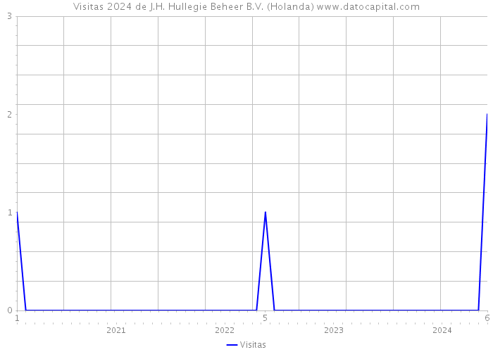 Visitas 2024 de J.H. Hullegie Beheer B.V. (Holanda) 